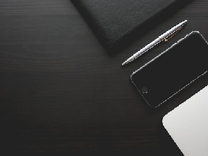 Professional Services